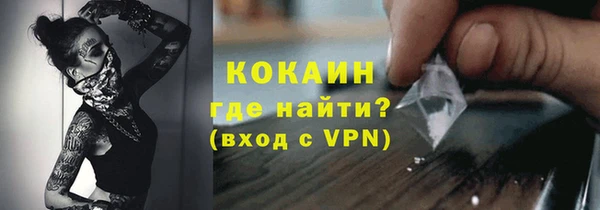 ГАЛЛЮЦИНОГЕННЫЕ ГРИБЫ Липки