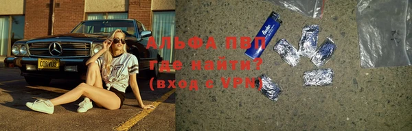 ГАЛЛЮЦИНОГЕННЫЕ ГРИБЫ Липки