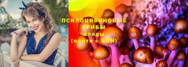 бошки Лихославль
