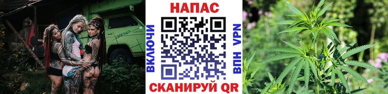 Бошки Шишки сатива Яхрома